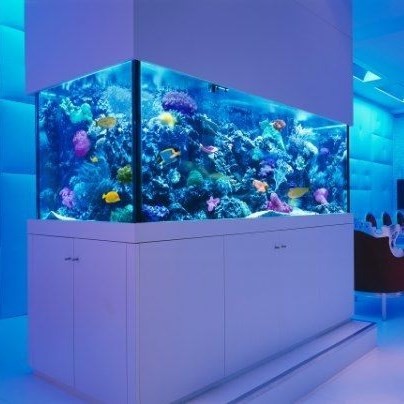 Bangkok Fish tank customized