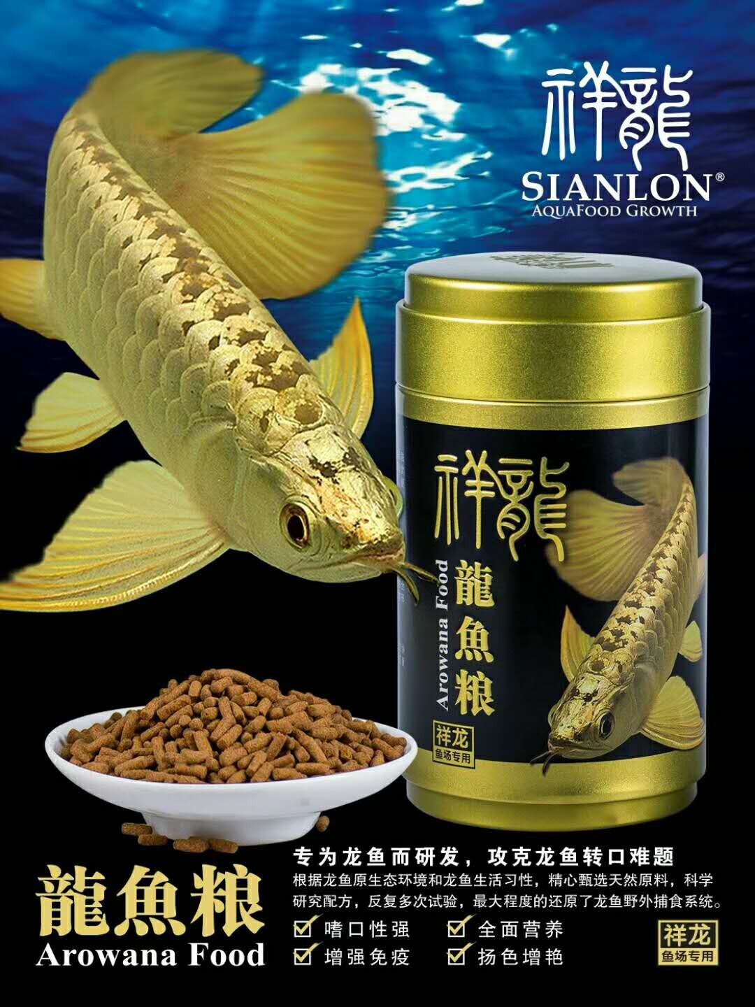 Bangkok Golden dragon fish food