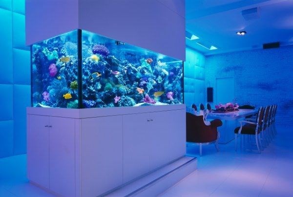 Bangkok Acrylic aquarium customized